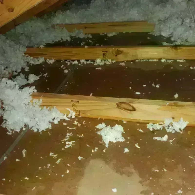 Attic Water Damage in Major County, OK