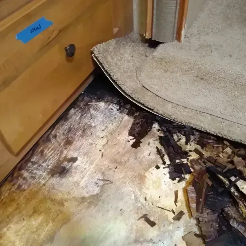 Wood Floor Water Damage in Major County, OK